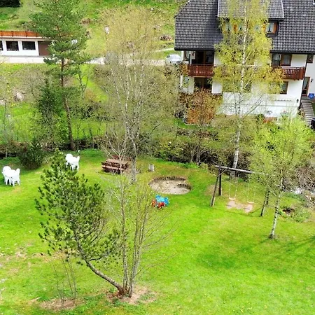 With 2 Bedrooms Nyaraló Menzenschwand-Hinterdorf